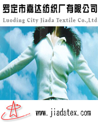 Guangdong Luoding Jiada Textile Co., Ltd.